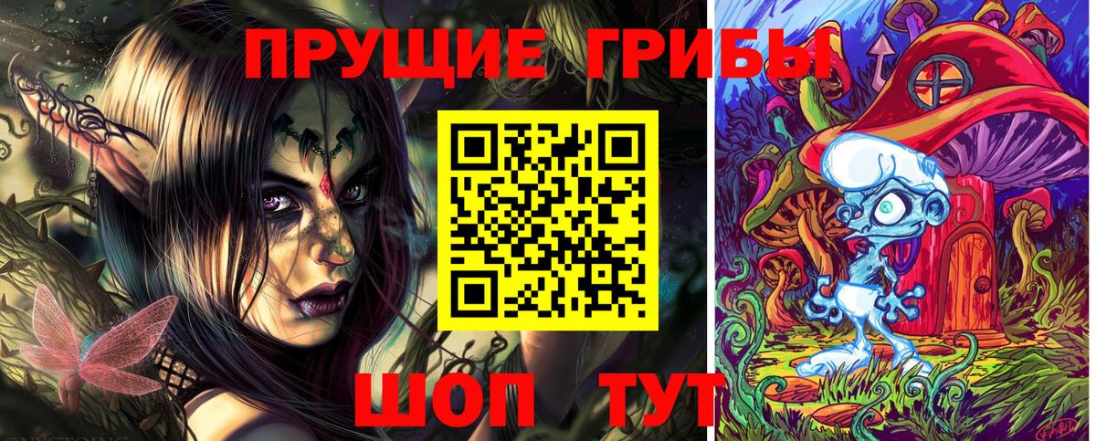 Псилоцибиновые грибы GOLDEN TEACHER  Вход с VPN  наркошоп  Губаха  Псилоцибиновые грибы Psilocybe 
