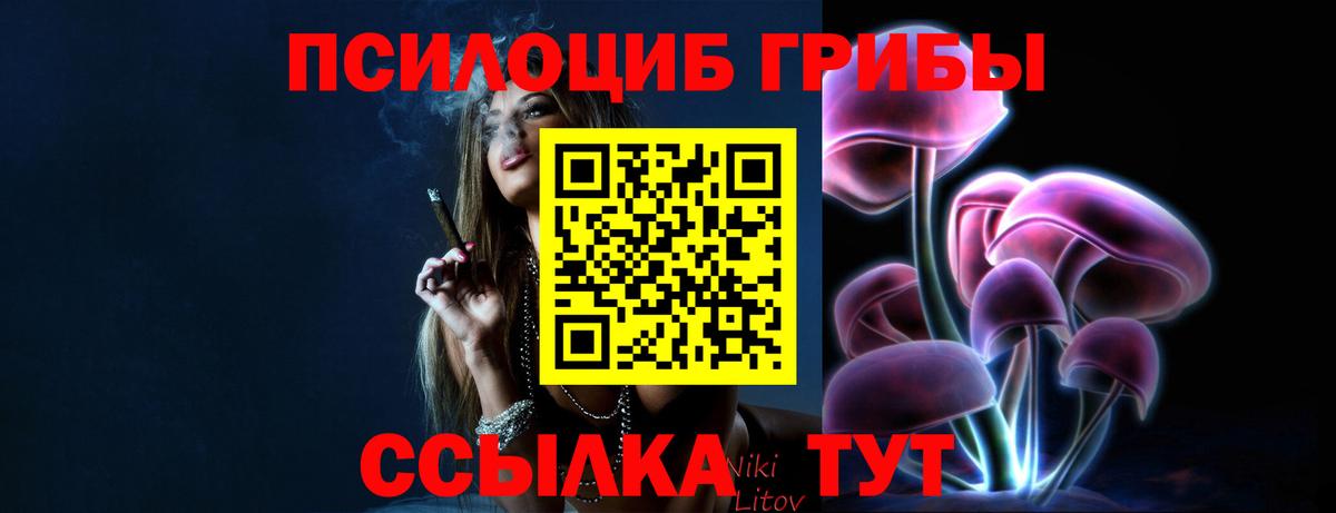 Псилоцибиновые грибы MAGIC MUSHROOMS Губаха